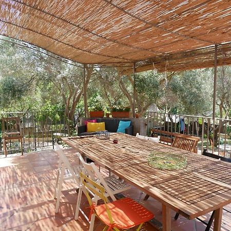Nature Hostel 라시오타 외부 사진