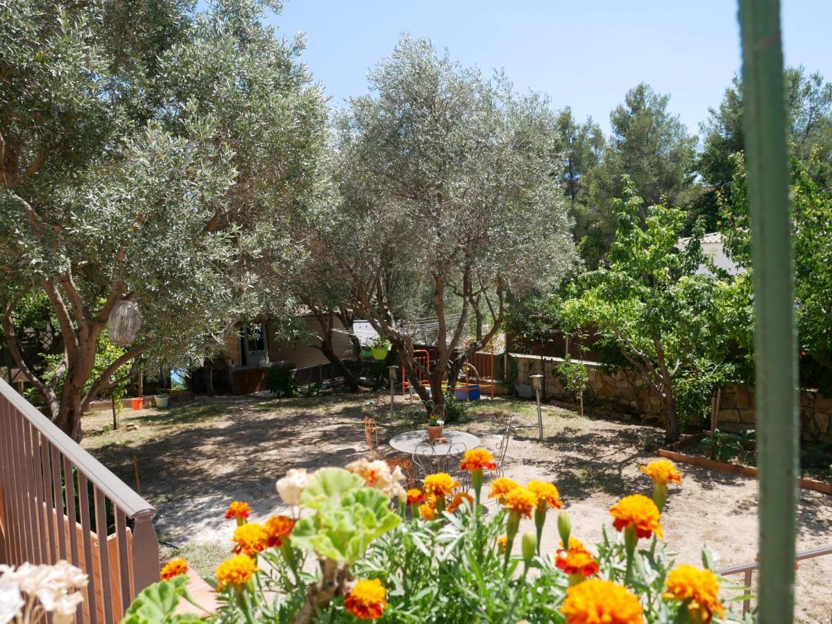 Nature Hostel 라시오타 외부 사진