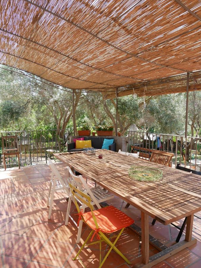 Nature Hostel 라시오타 외부 사진
